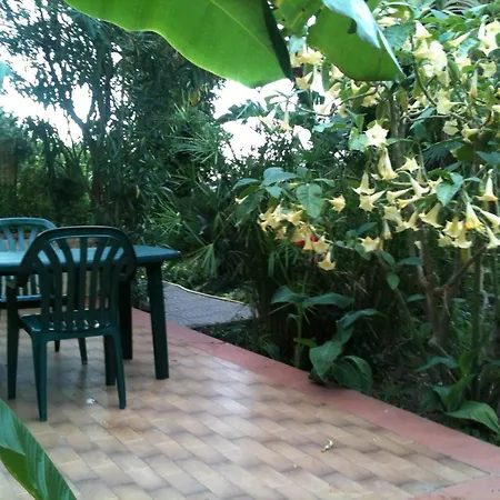 In Sea View